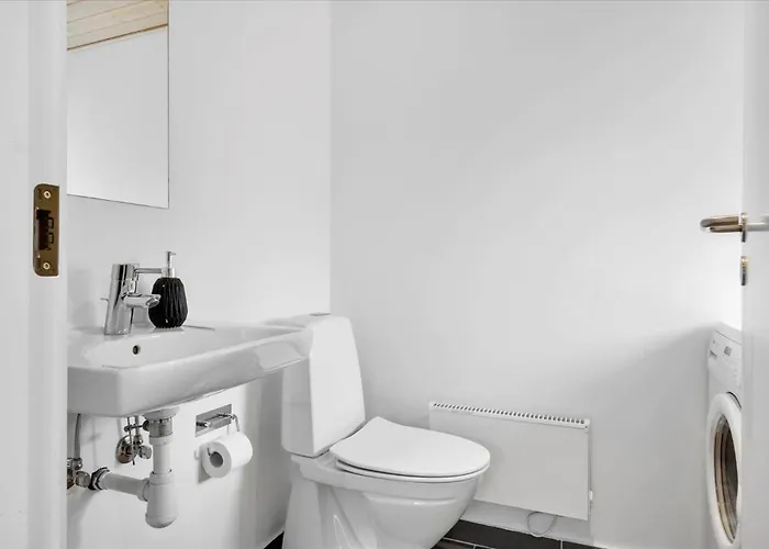 Tatil Evi Lf15198-hojslev-bronzehojen-7 Højslev